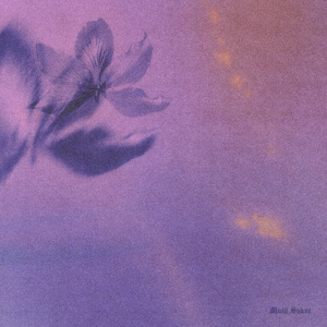 视色4se网站在线
