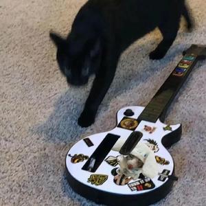 视色4se网站在线
