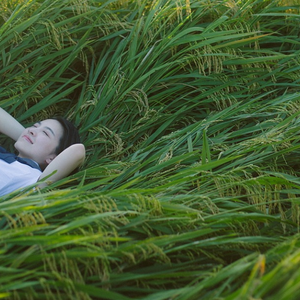 视色4se网站在线
