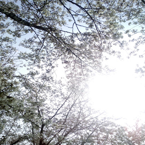 视色4se网站在线
